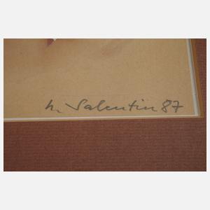 Hans Salentin, Konvolut Collagen