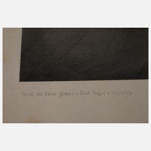 Carl Vogel von Vogelstein, Dresdner Konferenz