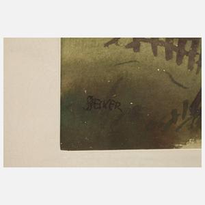 Willy Becker, Paar Osterzgebirgsansichten