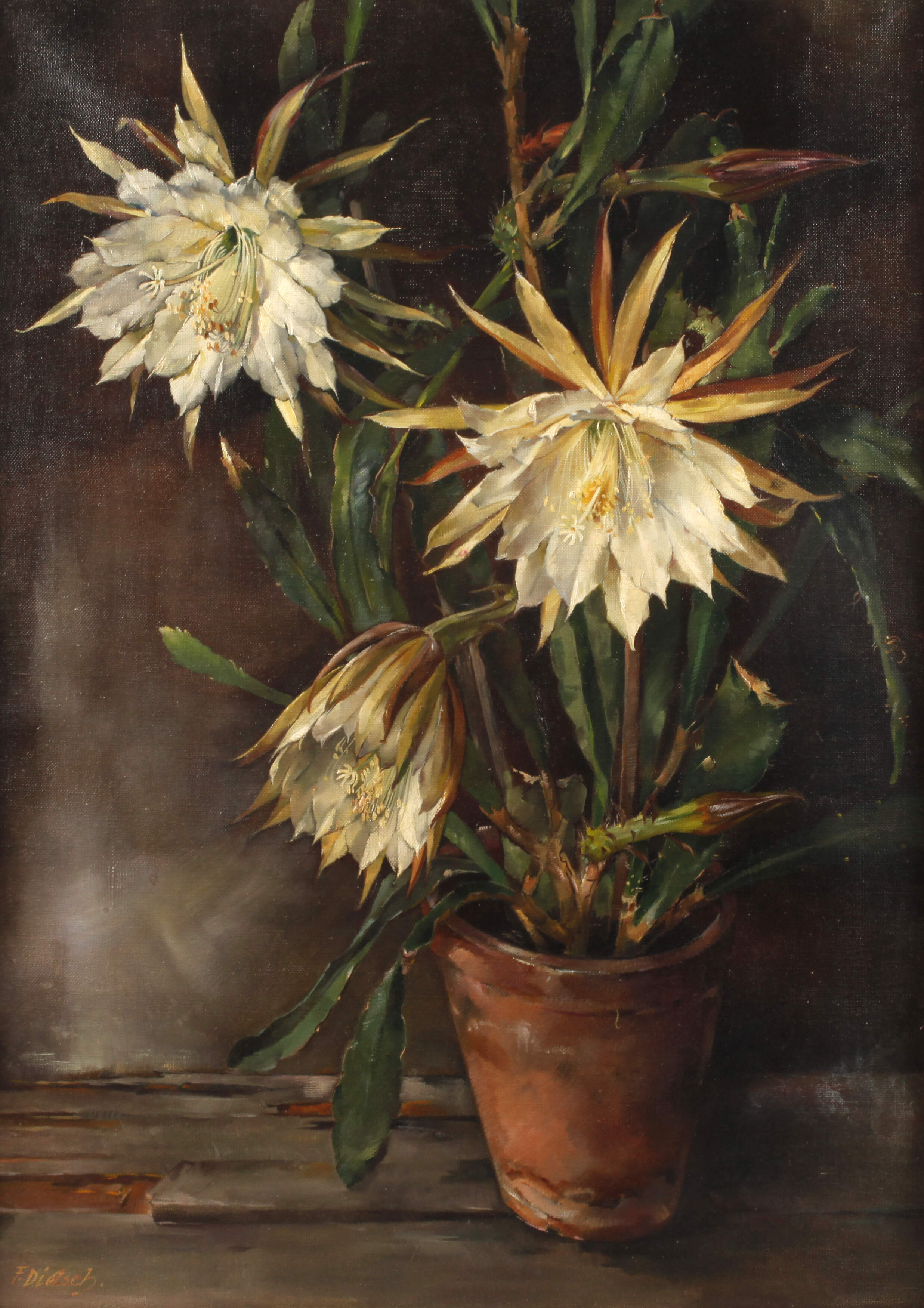 Friedrich Dietsch, Blühender Blattkaktus