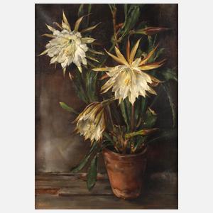 Friedrich Dietsch, Blühender Blattkaktus