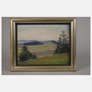 Flechsig, Vogtlandimpressionen