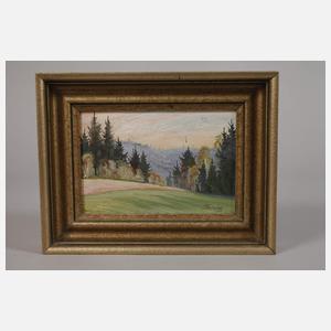 Flechsig, Vogtlandimpressionen