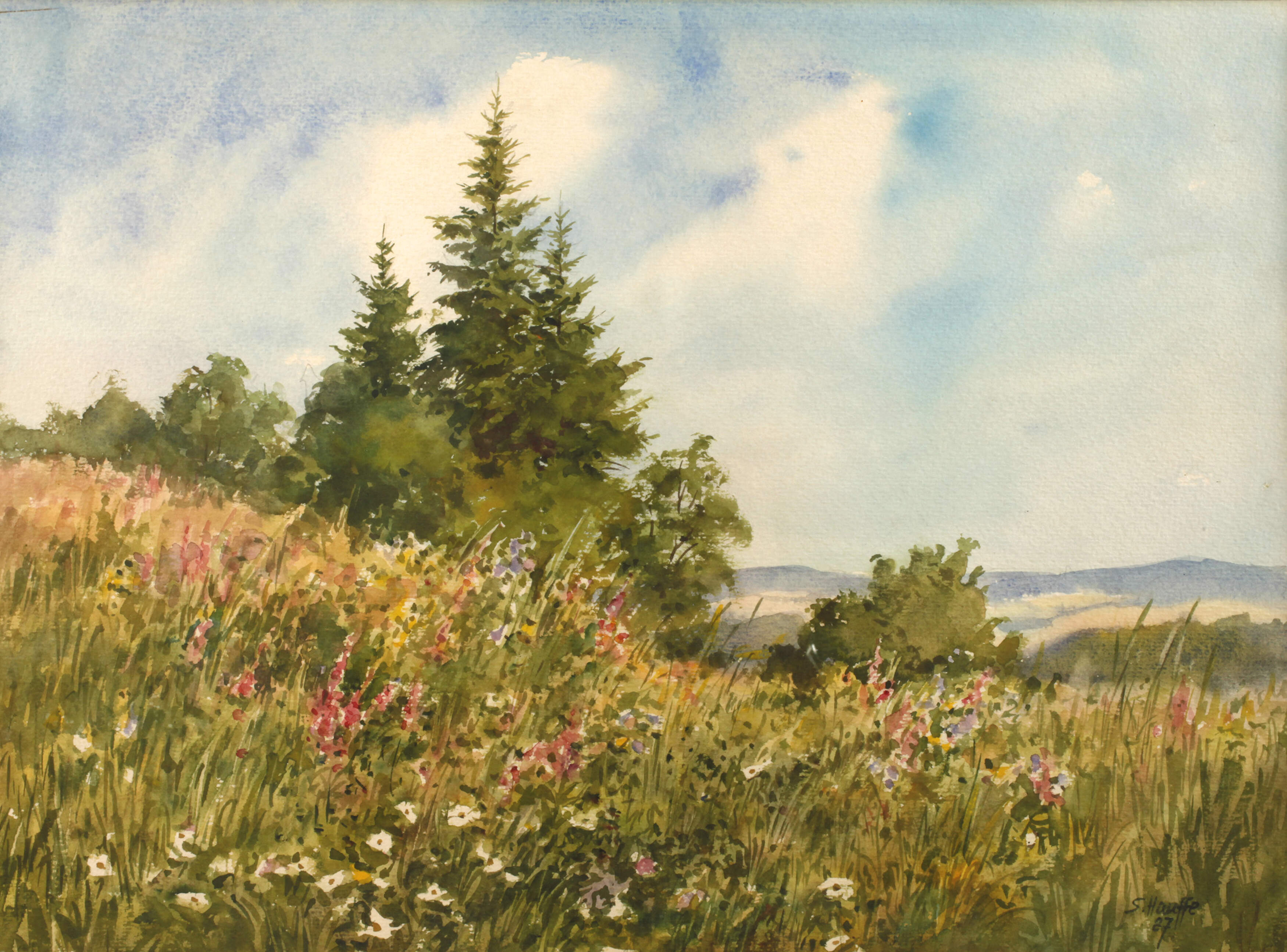 Siegfried Hauffe, Blühende Sommerwiese