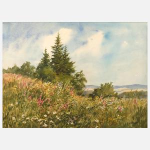 Siegfried Hauffe, Blühende Sommerwiese
