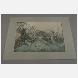 Regine Heinecke, Märchenhafte Vegetation