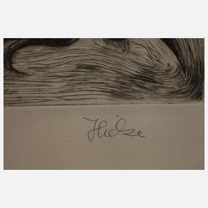 Bernd Hieke, Drei Raubvogeldarstellungen