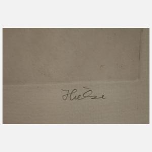 Bernd Hieke, Drei Raubvogeldarstellungen