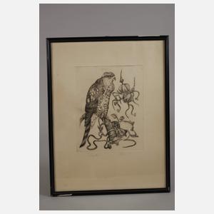 Bernd Hieke, Drei Raubvogeldarstellungen