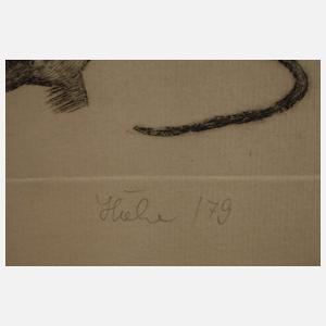 Bernd Hieke, Drei Raubvogeldarstellungen