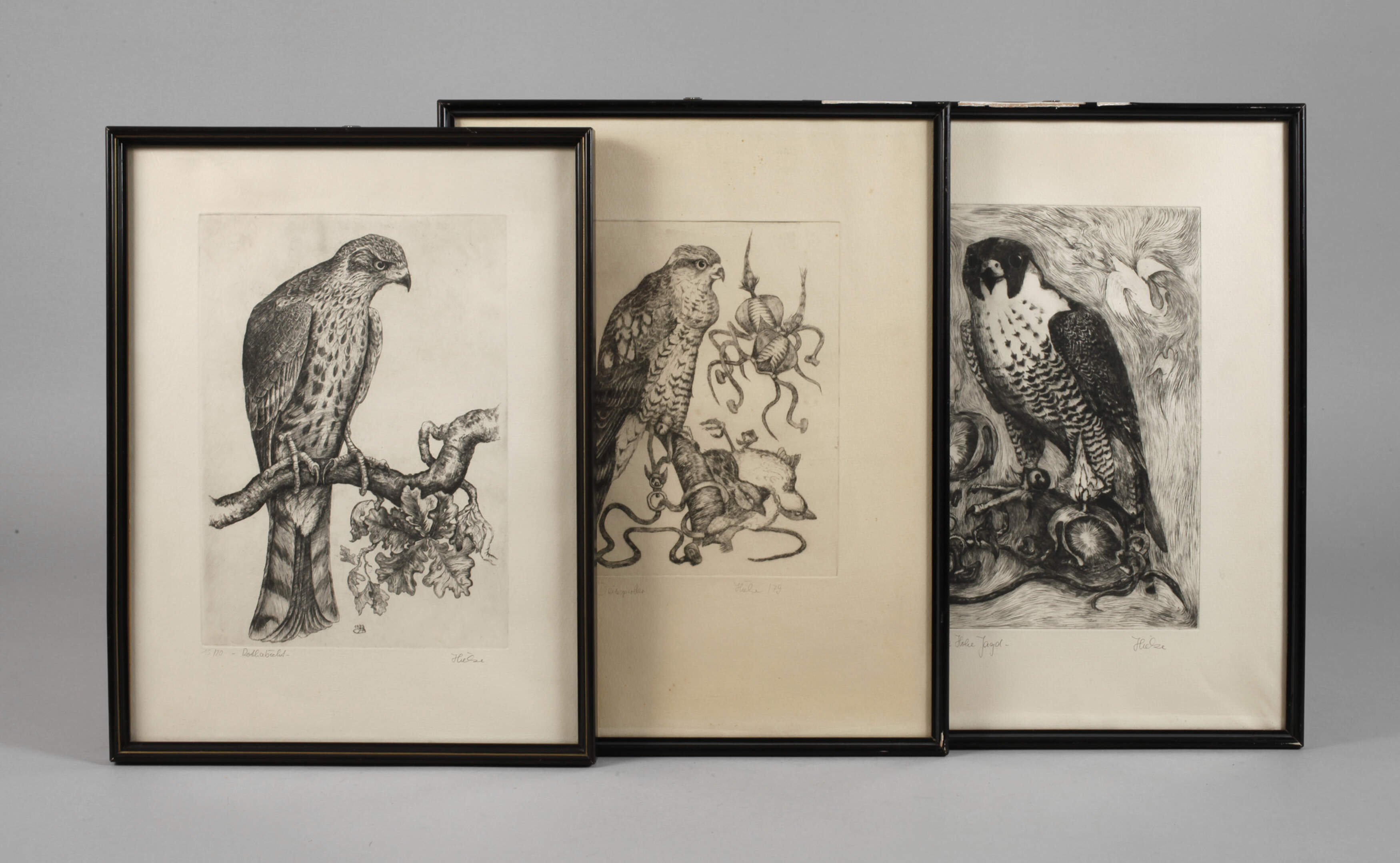 Bernd Hieke, Drei Raubvogeldarstellungen