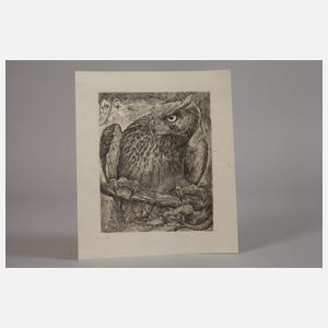 Bernd Hieke, Zwei Raubvogeldarstellungen