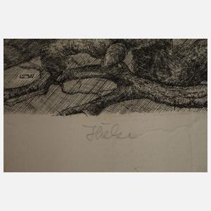 Bernd Hieke, Zwei Raubvogeldarstellungen