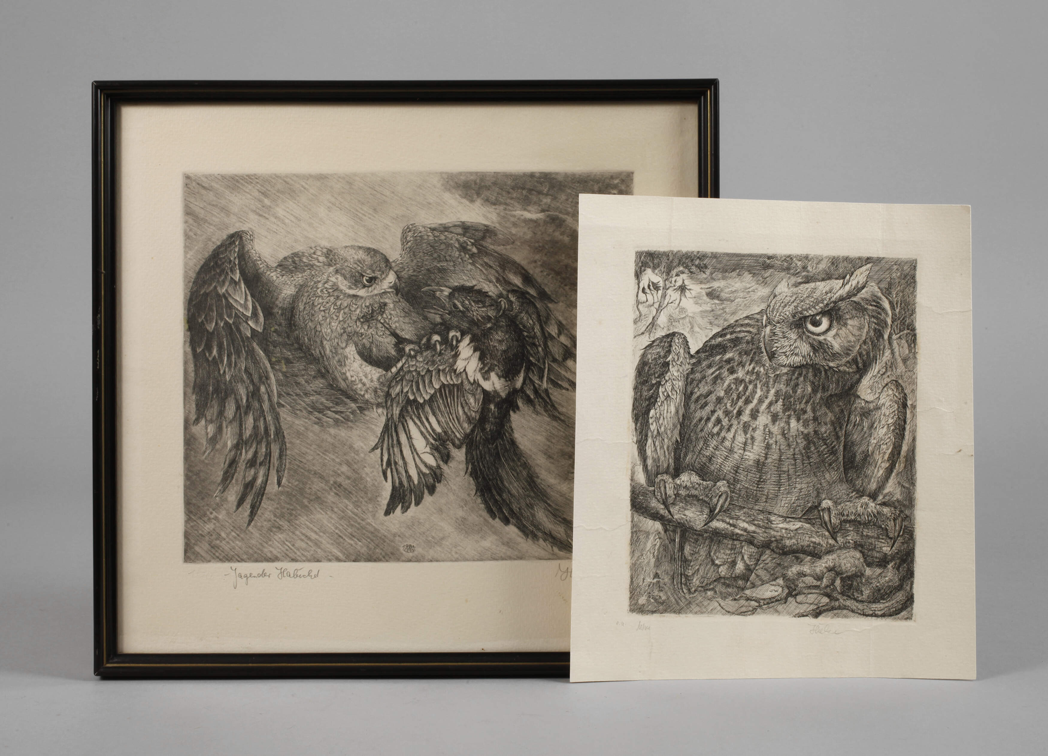Bernd Hieke, Zwei Raubvogeldarstellungen
