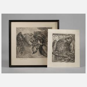 Bernd Hieke, Zwei Raubvogeldarstellungen