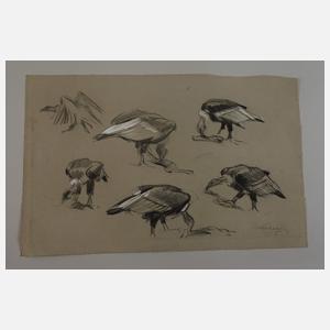 Hermann Kohlmann, Konvolut Zeichnungen