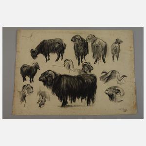 Hermann Kohlmann, Konvolut Zeichnungen