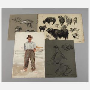 Hermann Kohlmann, Konvolut Zeichnungen