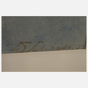 Hans Werner Schlegel, Elbaue mit Blauem Wunder