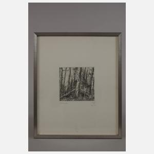 Baldwin Zettl, "Waldinneres"