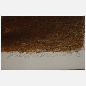 Gerald Müller-Simon, "Leipziger Häuser"