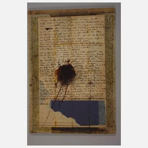 Anton Paul Kammerer, Konvolut Collagen