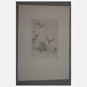 Thomas Ranft, Paar Radierungen