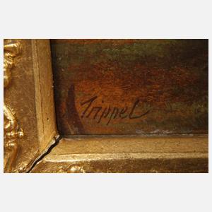 Albert Trippel, Partie in den Alpen