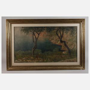 Gaetano Esposito, Mediterrane Felsenküste