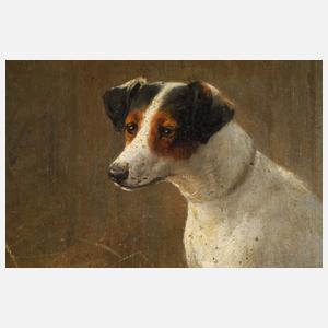 Heinrich Sperling, Hundeportraits