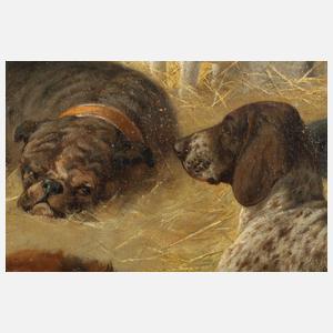 Heinrich Sperling, Hundeportraits