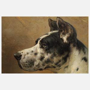Heinrich Sperling, Hundeportraits