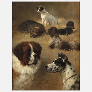 Heinrich Sperling, Hundeportraits