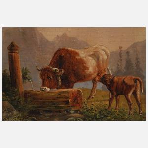 Varoni, An der Tränke auf der Alm