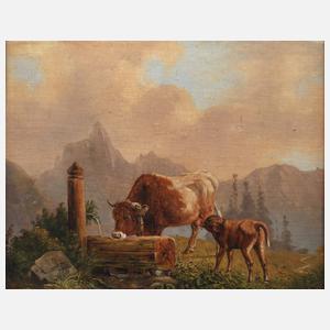 Varoni, An der Tränke auf der Alm