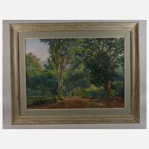 Edy Gomes Carôllo, »Waldgarten«