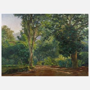 Edy Gomes Carôllo, »Waldgarten«