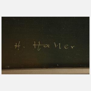 H. Haller, Pastorale Landschaft