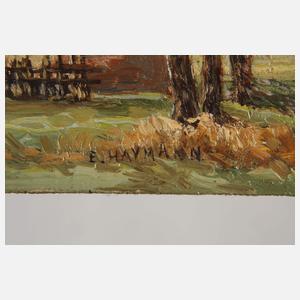 Ernst Haymann, »Postkutsche bei Haimhausen«