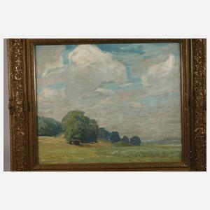 Hans Licht, »Sommertag in Mecklenburg«