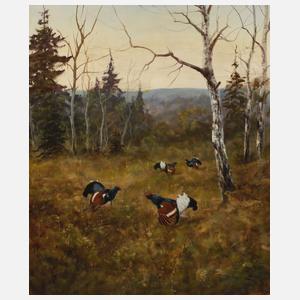 George Majewicz, Balzende Auerhähne auf Lichtung