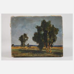 R. v. Otto, Weite Sommerlandschaft