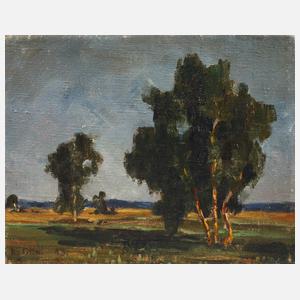 R. v. Otto, Weite Sommerlandschaft