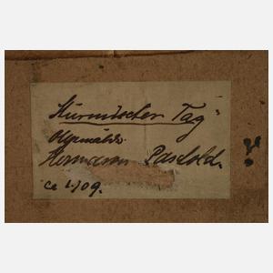 Hermann Paschold, »Stürmischer Tag«