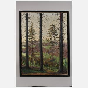 Carl Rang, Harzansicht