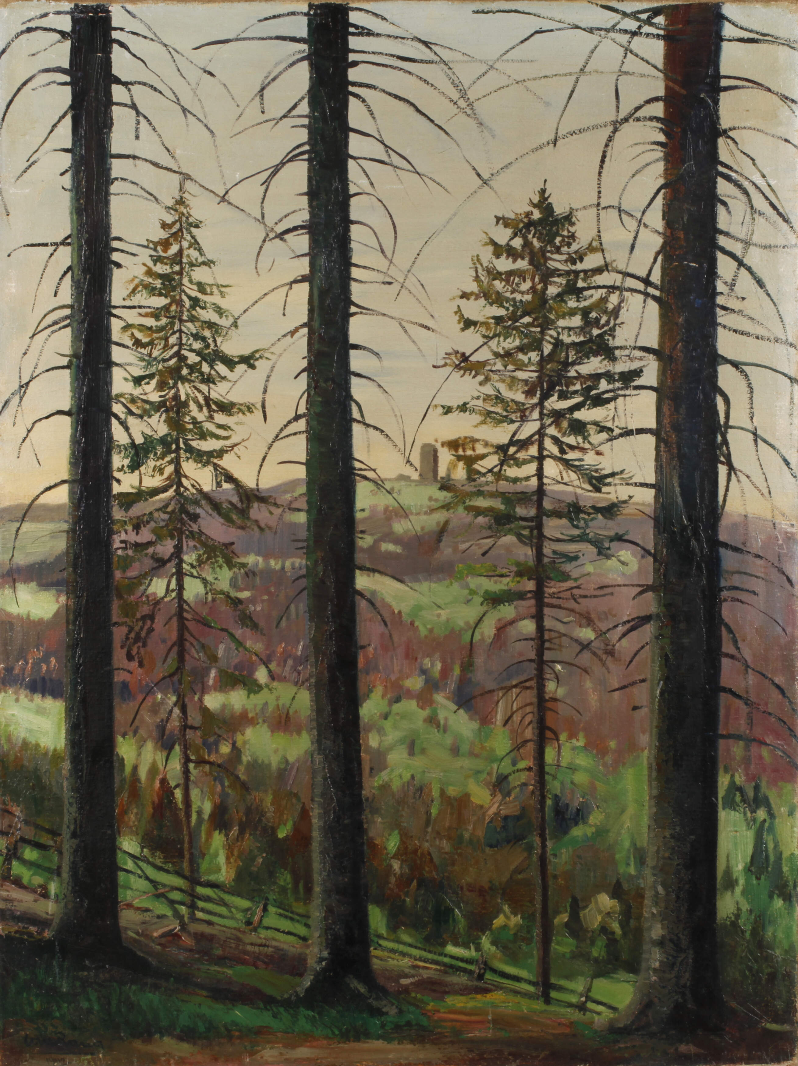 Carl Rang, Harzansicht