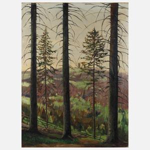 Carl Rang, Harzansicht