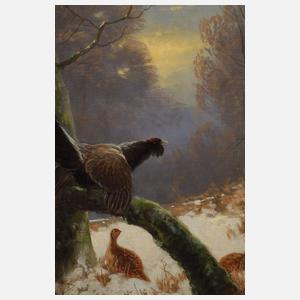 Otto Scheuerer, Winterlicher Wald mit Auerhahn