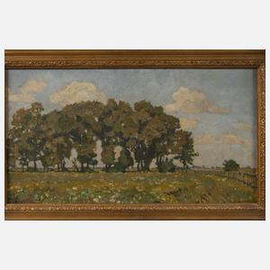 Erwin Steiner, »Weiden in Blumenwiese«