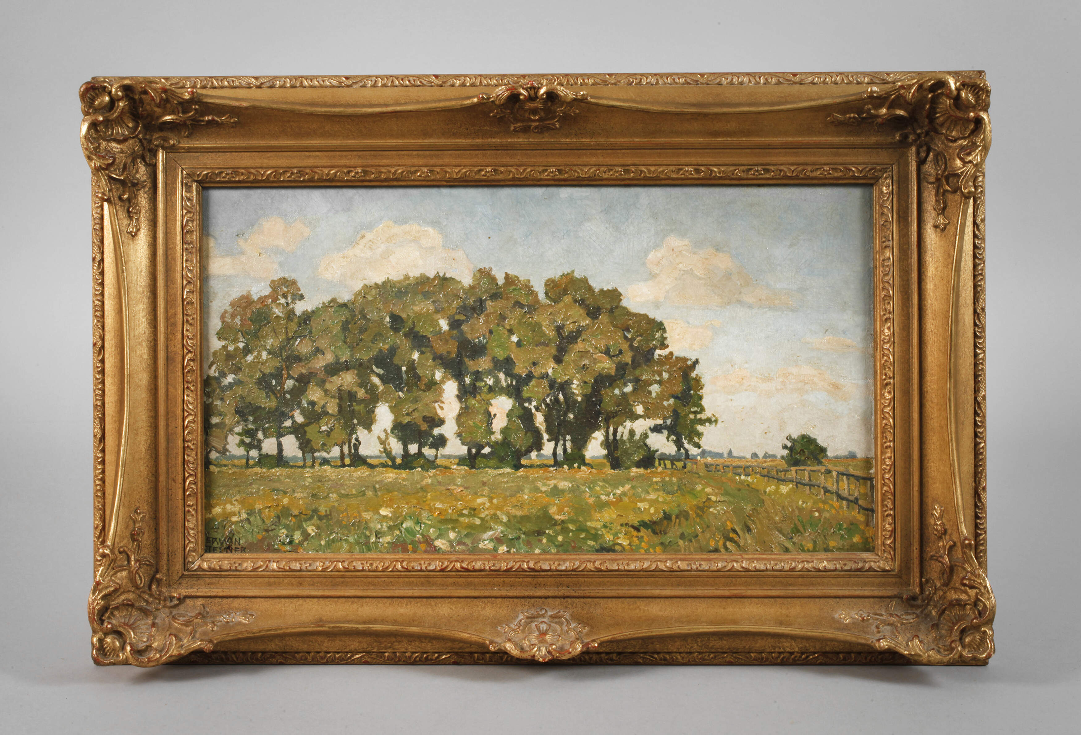 Erwin Steiner, »Weiden in Blumenwiese«